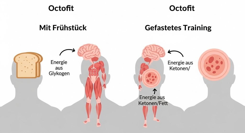 Infografik: Energiequellen beim Crosstraining mit und ohne Intervallfasten, zeigt Fettverbrennung vs. Glykogen.